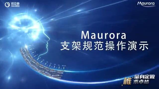 Maurora操作规范演示